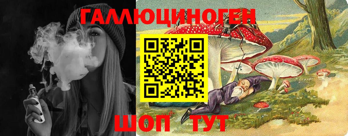 Галлюциногенные грибы GOLDEN TEACHER  Псилоцибиновые грибы Magic Shrooms  Курчалой  Вход с VPN 